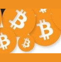 How Fit Is Bitcoin?