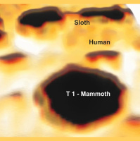 Subtle Ancient Footprints Come to Light