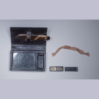 Civil War Vaccine May Have Lessons for COVID-19