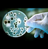 Microbes Share Your Morning Metro Commute 