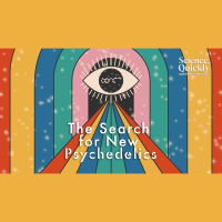 The Search for New Psychedelics