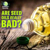 The Great Seed Oil Panic