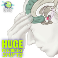 Psychiatry’s playbook is about to get torn up