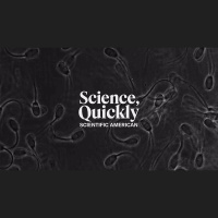 These Researchers Put Sperm Through a Kind of Hunger Games