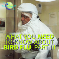 How to Fight Bird Flu If It Becomes the Next Human Pandemic (Part 3)