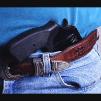 Obama Notes Blocks of Gun Violence Research