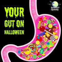 How to Trick-or-Treat Your Gut