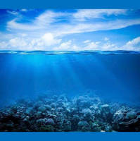 Bleached Coral Busts Fish Learning