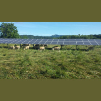 Farmland Is Also Optimal for Solar Power