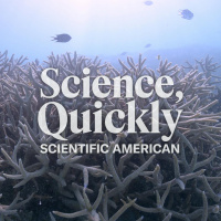 Corals Are Once Again Bleaching En Masse, but Their Fate Isn’t Sealed