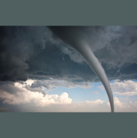 Science News Briefs from All Over