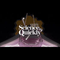 Have Astronomers Seen the Universes First Stars?