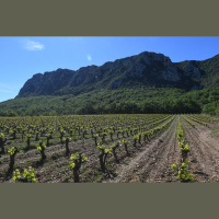 Science News Briefs from around the World