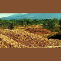 A Fruitful Experiment in Land Conservation