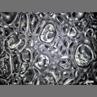 Chemical Tweak Recycles Polyurethane into Glue