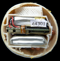 Science News Briefs from around the World