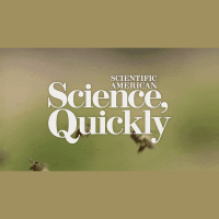 Scientists Are Beginning to Learn the Language of Bats and Bees Using AI