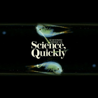 This Fleeting Ecosystem Is Magical, and You Have Probably Never Heard of It or Even Noticed It