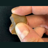 Early Butchers Used Small Stone Scalpels