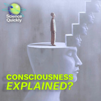 What is consciousness, really?