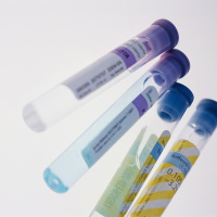 Nobel for Helping the Immune System Fight Cancer