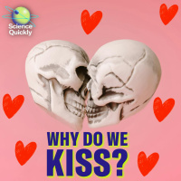 The evolutionary riddle of the kiss