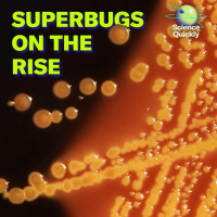 Global Superbugs Surge, Chikungunya Hits Long Island, and Satellites Leak Data
