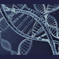 Cellular Circuit Computes with DNA
