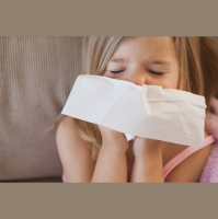 Commuting Patterns Help Forecast Flu Outbreaks