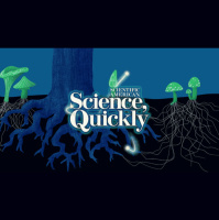 The Fungi Economy, Part 1: Just like Us, Trees Are Experiencing Inflation