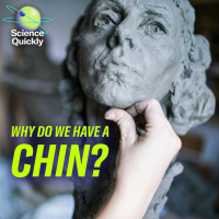 We weren’t supposed to have chins