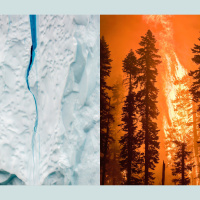 If Sea Ice Melts in the Arctic, Do Trees Burn in California?