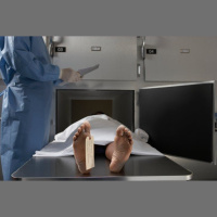 Necrobiome Reveals a Corpses Time of Death