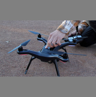 Drones Could Help Biologists Tally Birds