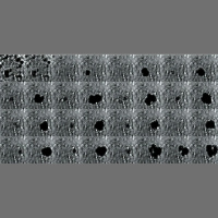 Engineered Bacteria Use Air Bubbles as Acoustically Detonated Tumor TNT