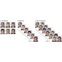 Paired Comparisons Could Mean Better Witness Identifications