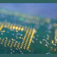 Mantis Shrimp Shells May Inspire Next-Generation Computer Chips