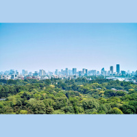 Rising CO2 Pushes Plants to Drink Sparingly