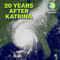  Katrina Was Predicted: Revisiting Warning Signs 20 Years Later