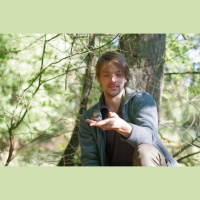 Mistimed Migration Means Bird Death Battles