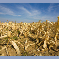 Climate Change Most Affects Nations That Didnt Produce It