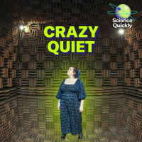 Enter One of the World’s Quietest Rooms
