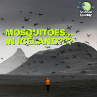 Mosquitoes Invade Iceland, Earth Darkens, and Bird Flu Returns
