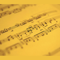 How Baby Birds Learn to Duet