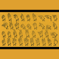 Sign Languages Display Distinct Ancestries