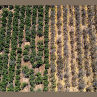 Building Resilience in the Face of Climate Change [Sponsored]