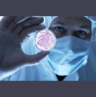 Bacteria Can Be Resistant to Brand-New Antibiotics