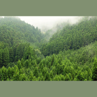 World Wilderness Down 10 Percent in 20 Years