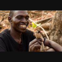 Humans and Birds Cooperate to Share Beehive Bounty