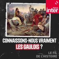 Connaissons-nous vraiment les Gaulois ? 5/5 : Comment l’archéologie a révolutionné notre connaissance des Gaulois
